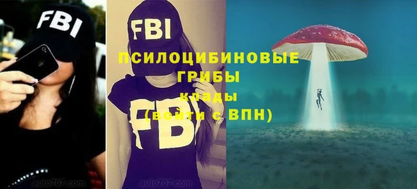 хмурый Медногорск