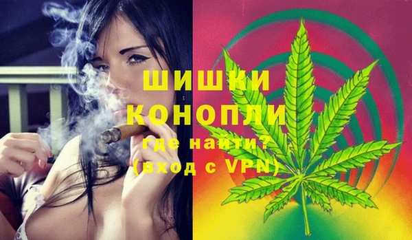 хмурый Медногорск