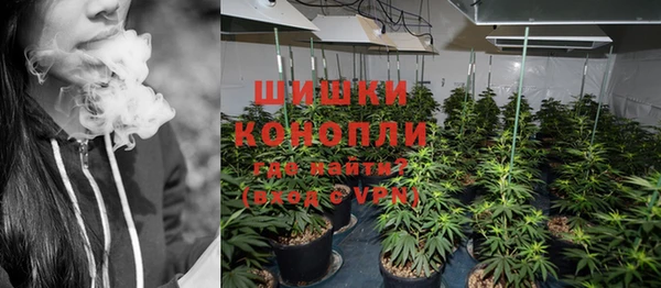 дмт Мегион
