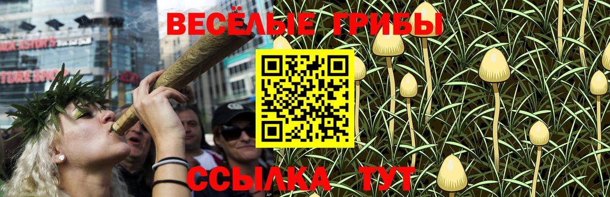 Псилоцибиновые грибы мухоморы  Топки  Псилоцибиновые грибы Cubensis 