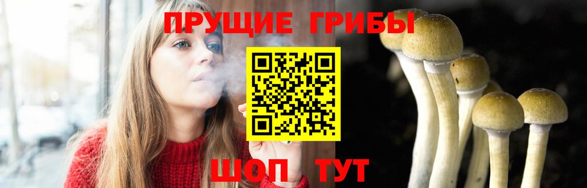 Галлюциногенные грибы мицелий  Галлюциногенные грибы Cubensis  Вход с VPN  Топки 
